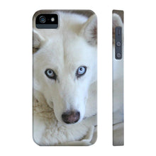 Slim Phone Case, White Siberian Husky Phone Case