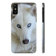 Tough Phone Case, White Siberian Husky