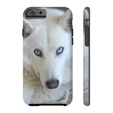 Tough Phone Case, White Siberian Husky