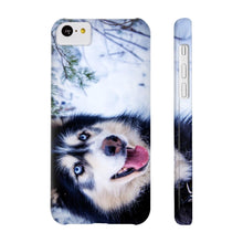 Slim Phone Cases, Husky Phone Case 05