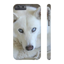 Slim Phone Case, White Siberian Husky Phone Case